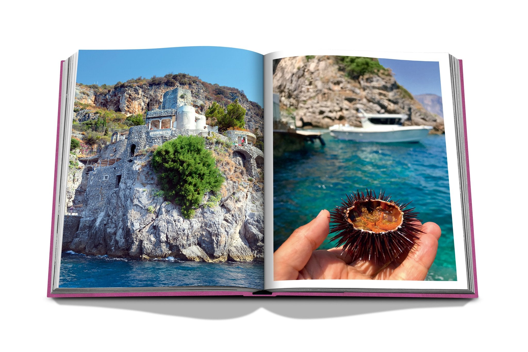 Amalfi Coast Assouline Book
